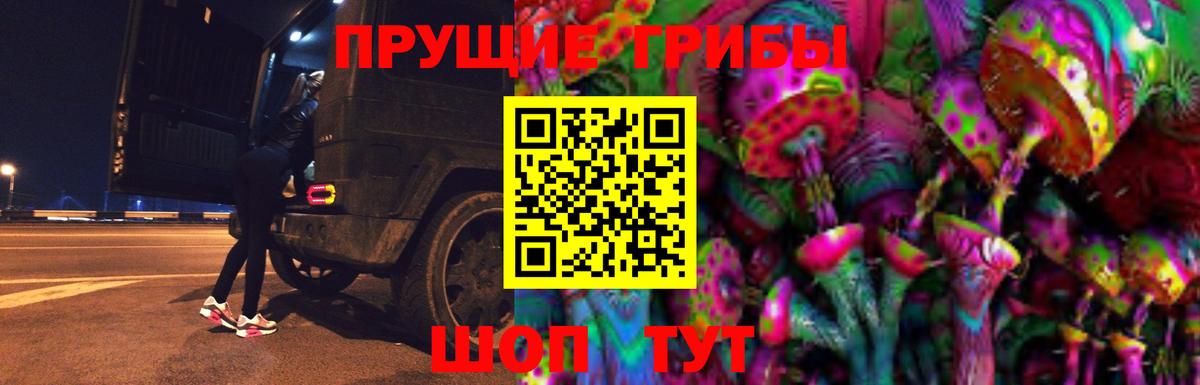 Галлюциногенные грибы Psilocybe  Вход с VPN  Красногорск 